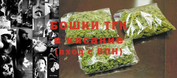 шишки Алзамай