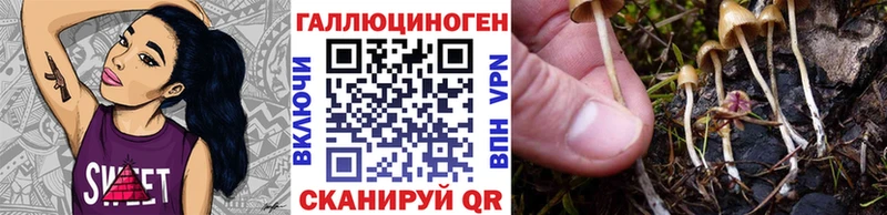Галлюциногенные грибы Magic Shrooms  закладки  Лукоянов 